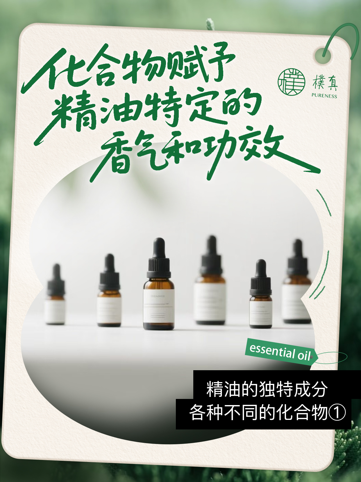 微信图片_20250703153206